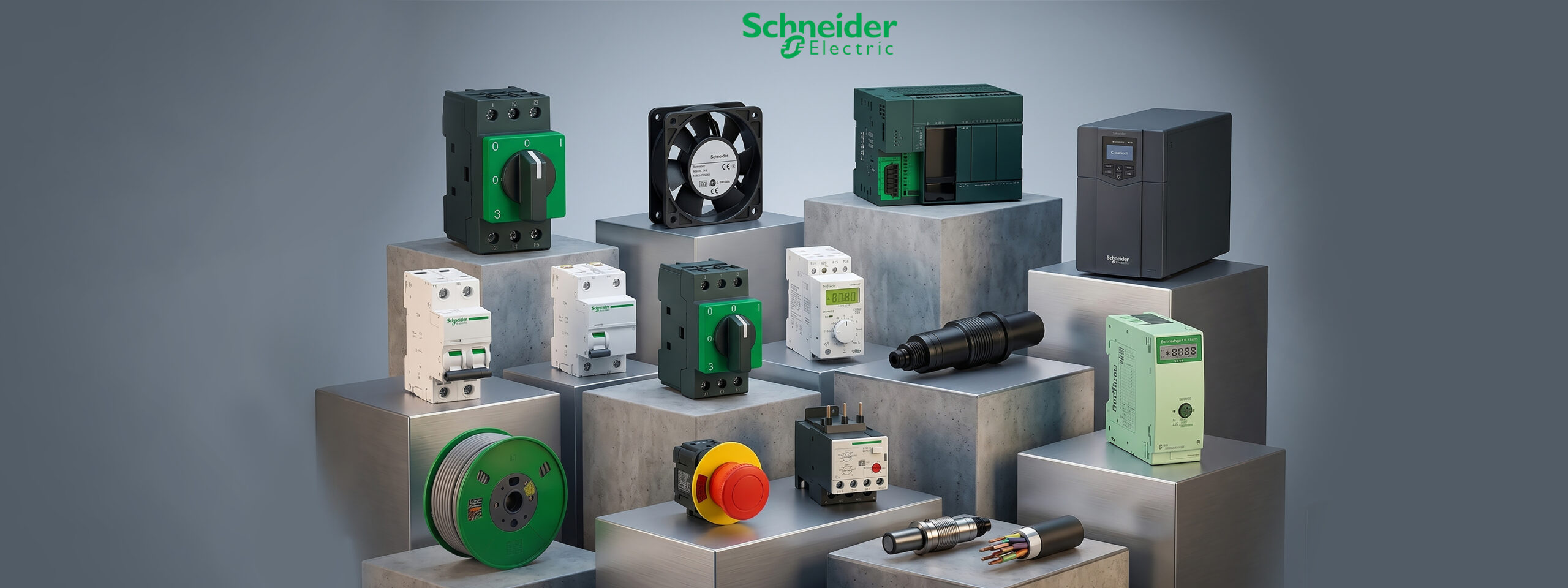 schneider 05.jpg